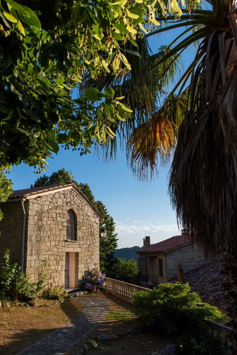 forciolo 2020 08 768x1150