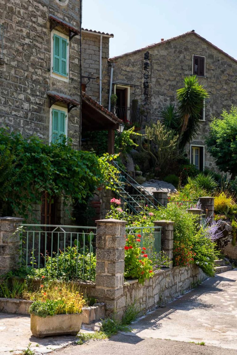 urbalacone 2020 05 768x1150