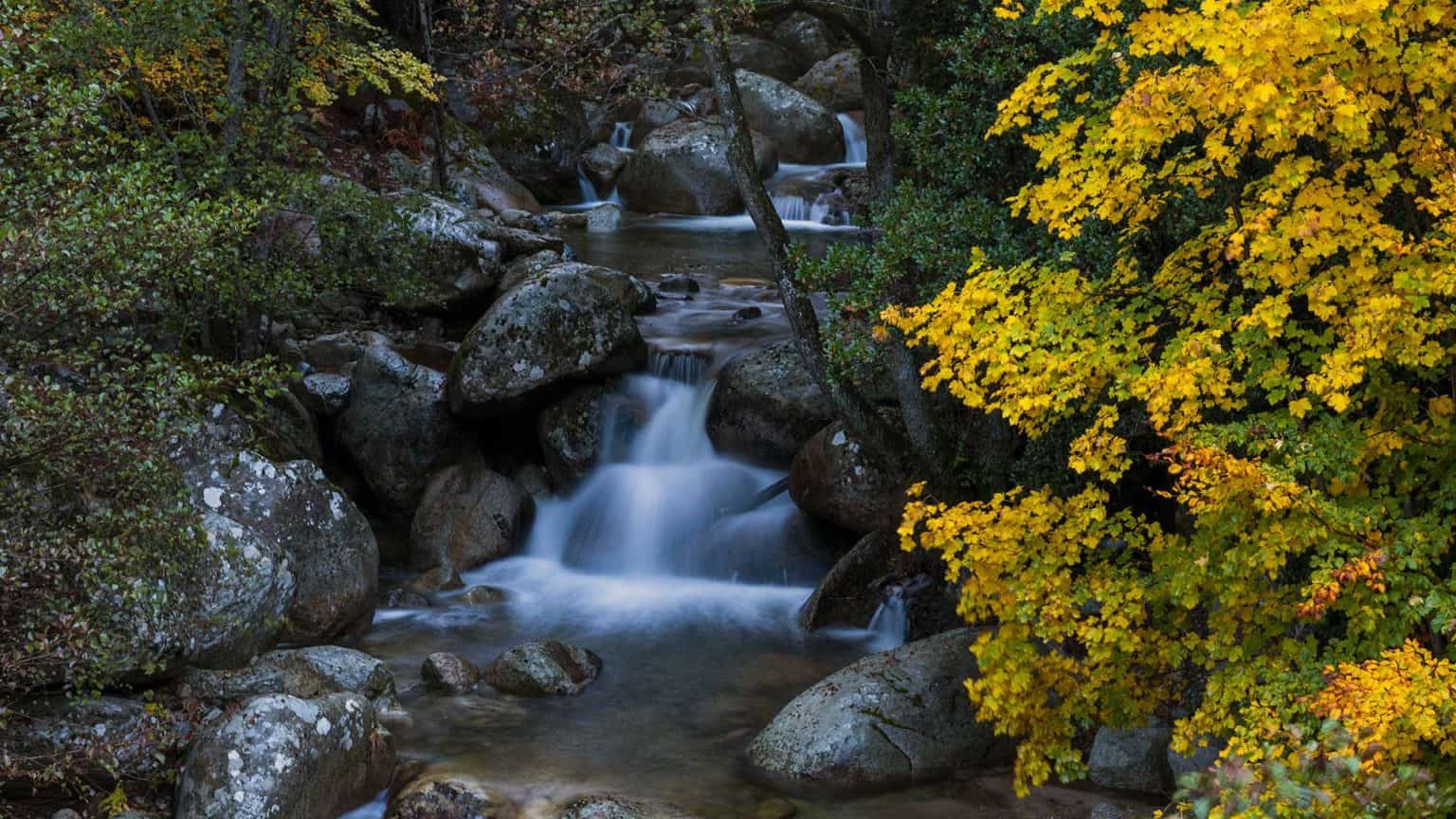 Taravo Ornano Porticcio Tourisme