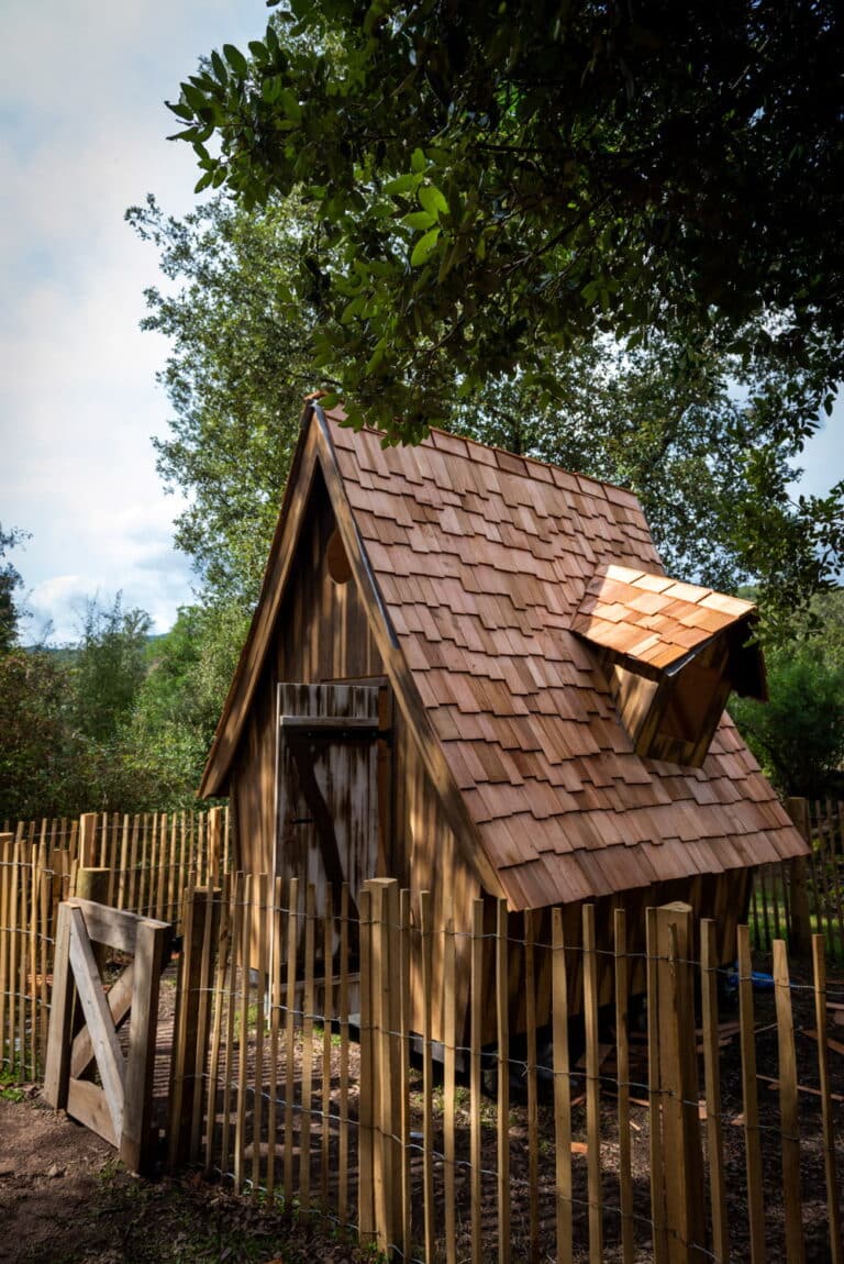 foret enchantee 02 web 768x1150