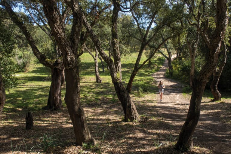 Chemin de Fica